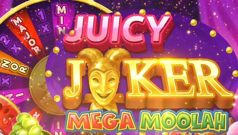 Mega Moolah لقطة الشاشة 4