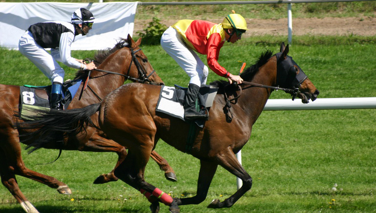 تنيس وسباق الحصان لدى الكازينو المباشر