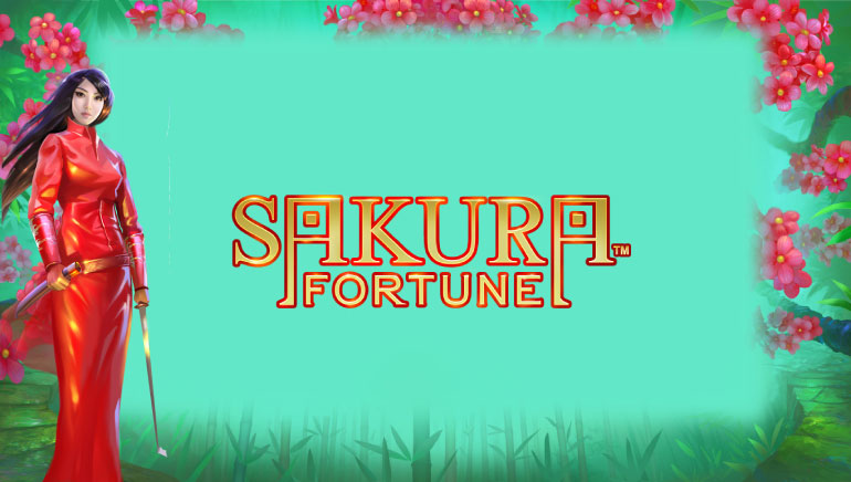 كازينو 1xSlots لقطة الشاشة 5